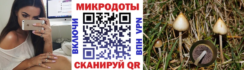 Псилоцибиновые грибы мухоморы  Купить где  Уссурийск 